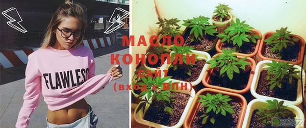 индика Покров