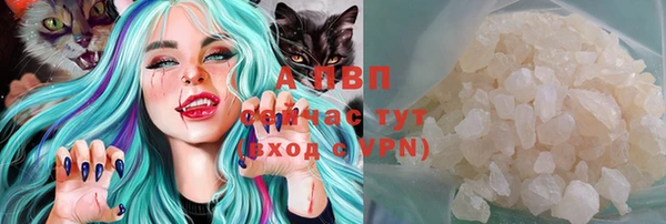 индика Покров